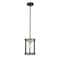 Z-Lite Kirkland 1 Light Mini Pendant, Ashen Barnboard 472MPR-ABB - alternate 7